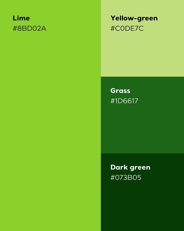 color guide